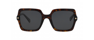 Lunettes de soleil Polaroid Achat en ligne Optic 2000