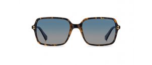 Lunettes de soleil Polaroid - PLD6247S - Ecaille B