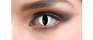 Lentilles de contact Lentilles Halloween - White Snake x2