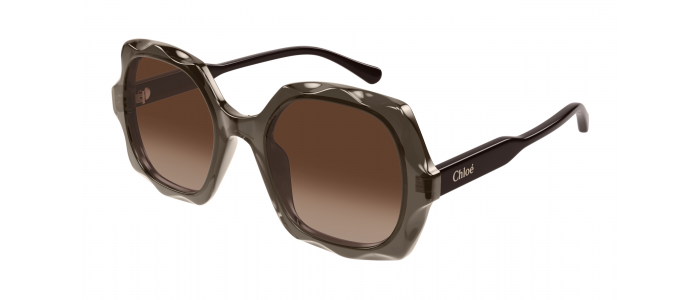Lunettes de soleil Femme Chloé CH0226S Marron Achat en ligne