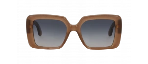 Lunettes de soleil Carven - CC4074S - Brun B