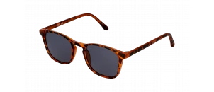 Lunettes de soleil Baila - SJP2114 - Ecaille B