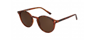 Lunettes de soleil Baila - SFP2122 - Ecaille B