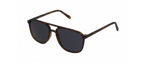 Lunettes de soleil Baila - SHP2312 - Ecaille B