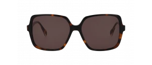 Lunettes de soleil Drew. S - DSF2630 - Ecaille B