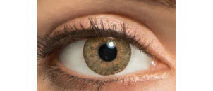 Lentilles de contact FreshLook 1 Day Noisette