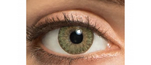 Lentilles de contact FreshLook 1 Day Vert