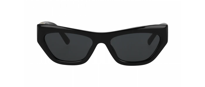 Lunettes de soleil Femme Ralph Lauren RL8218U Noir Achat en