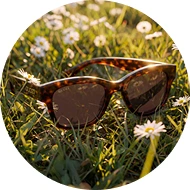 Lunettes de marque